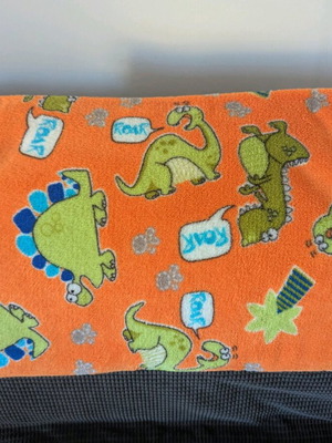 Children's fleece blanket used with dinosaurs