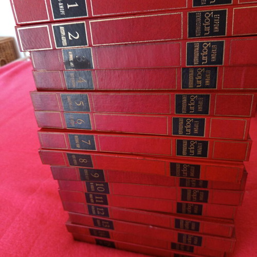 Domi Encyclopedia set of 15 volumes like new