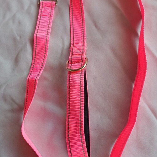 Dog leash and harness set GLEE like new, adjustable, reflective