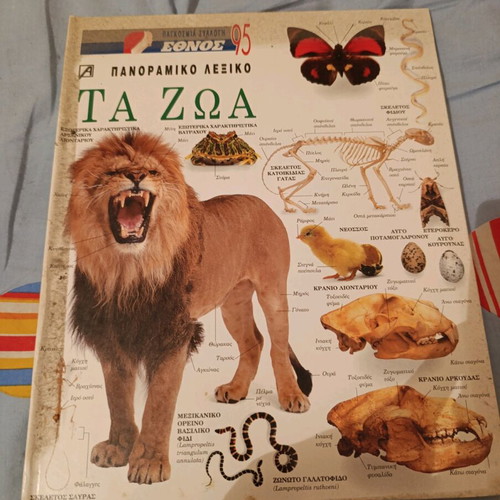 Animals like new children's book
