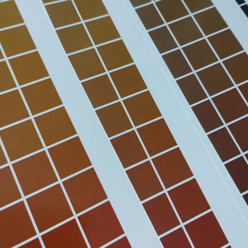 CMYK Color Guide like new, professional printing tool