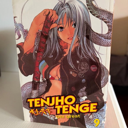 Manga Tenjho Tenge volumes 1 to 19 like new, English
