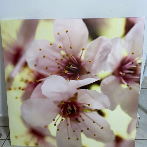 Decorative painting used with small defect