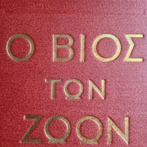 The Life of Animals like new, 1932 edition, leather-bound