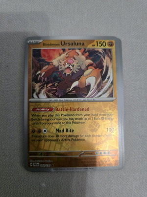 Ursaluna Pokemon card new