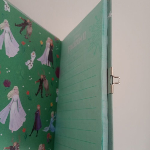 Disney Frozen notebook