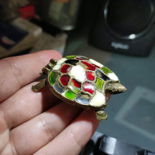 Vintage turtle case used with enamel
