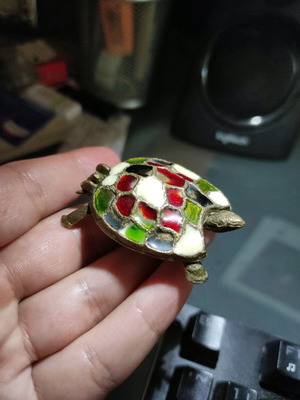 Vintage turtle case used with enamel