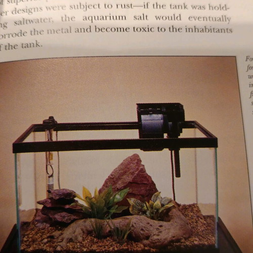 The Betta book like new, care guide for Siamese fighting fish