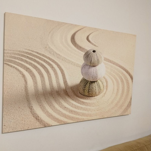 Πίνακας σε καμβά Zen Garden & Αχινοί σαν καινούργιος, μινιμαλιστική διακόσμηση