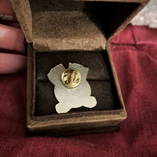 Collectible pin like new from Rodeo Houston Texas
