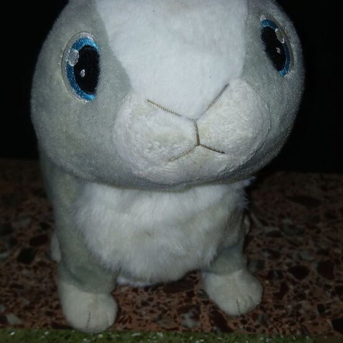 Betsy plush bunny used