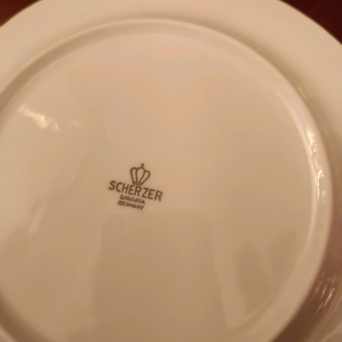 Scherzer Bavaria porcelain dinnerware set new with pink roses