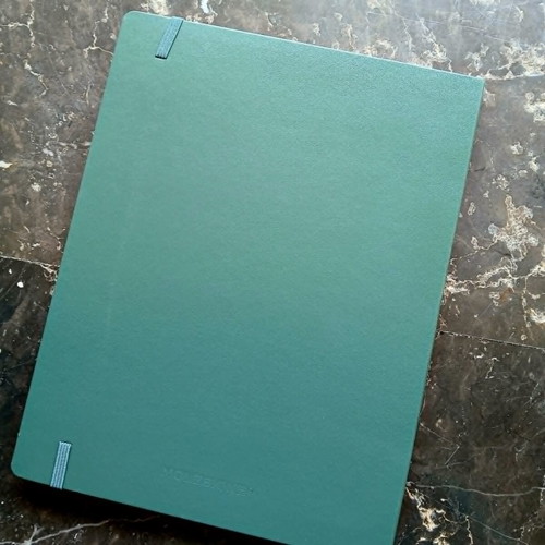 Moleskine Pro Notebook XL Cypress new