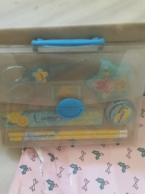 School set Lemon in pouch new