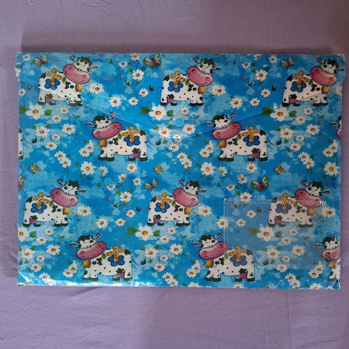 Plastic folders for photocopies used with kids' designs