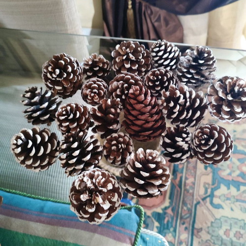 Decorative pine cones like new, pack of 21 pieces