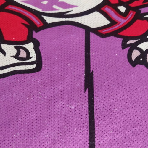 Toronto Raptors NBA jersey used Vinsenco Esposito 95-96
