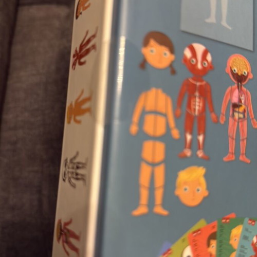 Apli Kids Magnetic Human Body Educational Game new