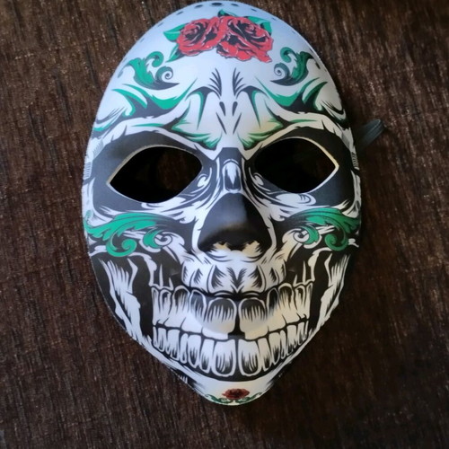 Carnival mask new