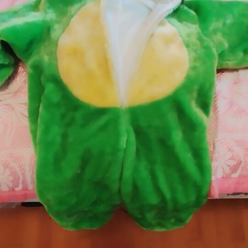 Turtle carnival costume used, size 5 years