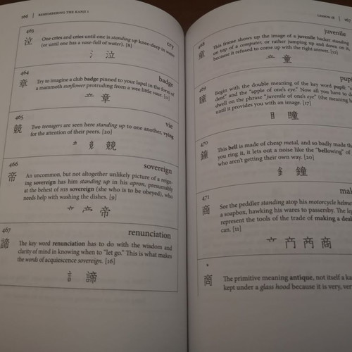 Remembering The Kanji Vol 1 like new