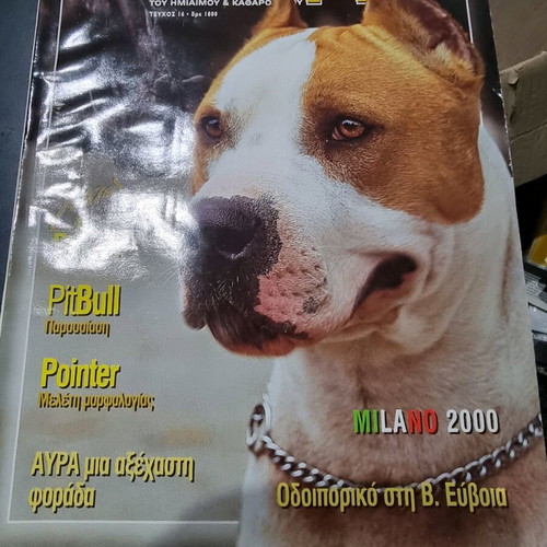 Vlemma magazine like new, issue 16 about dog training