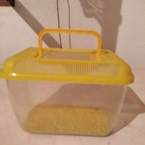 Aquarium used portable case with bottom stones