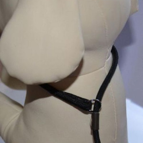 Exhibition Guide 5mm*140cm pet leash in various colors