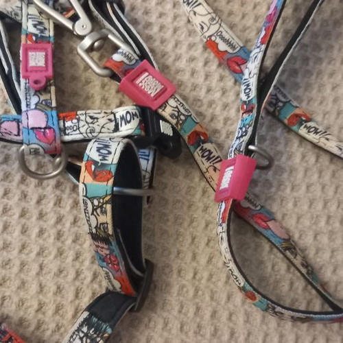 Max&Molly dog harness and leash size M like new