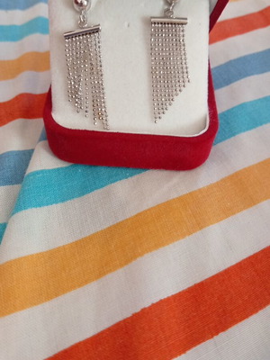 Silver Color Earrings new, unused