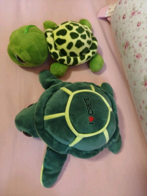 Plush turtles used