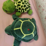 Plush turtles used