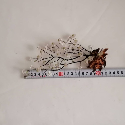 Sea shells used, handmade decor of natural sea shells