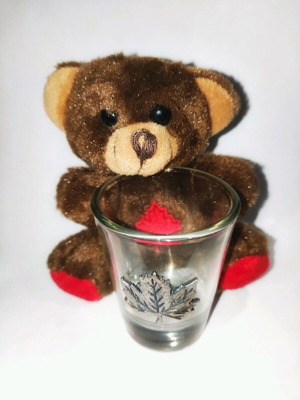 Canada shot glass like new with souvenir teddy bear