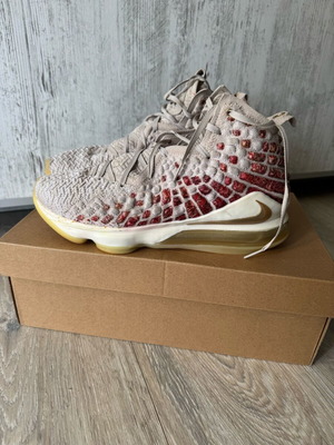 Nike LeBron 17 basketball shoes used, unisex