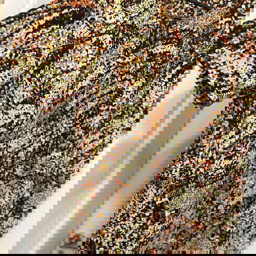 Дамска блуза туника от Германия като ново, размер L