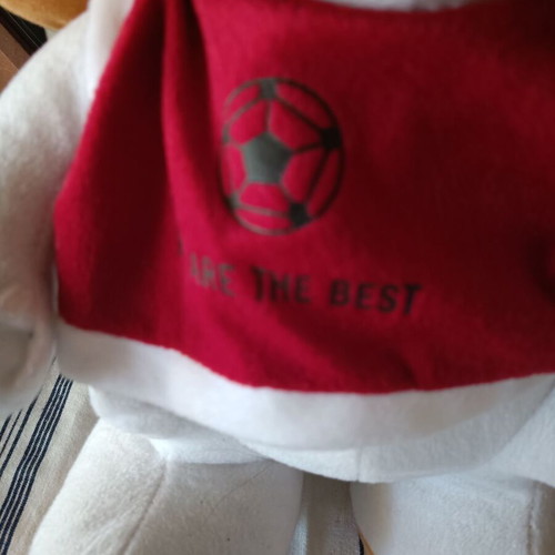 Plush dog 60cm with red shirt