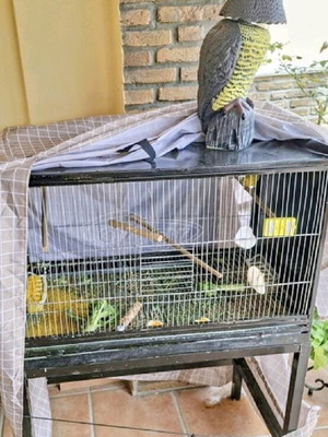 Bird breeding cage like new