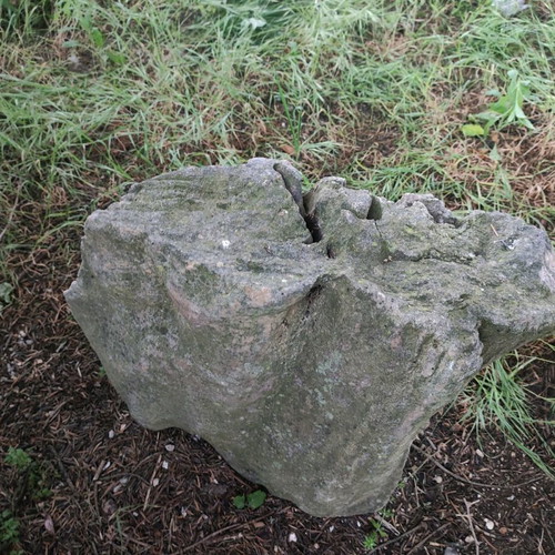 Fossilized tree trunk like new, large size