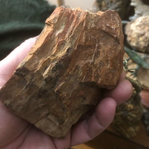 Petrified wood Madagascar new, large piece with interesting shade