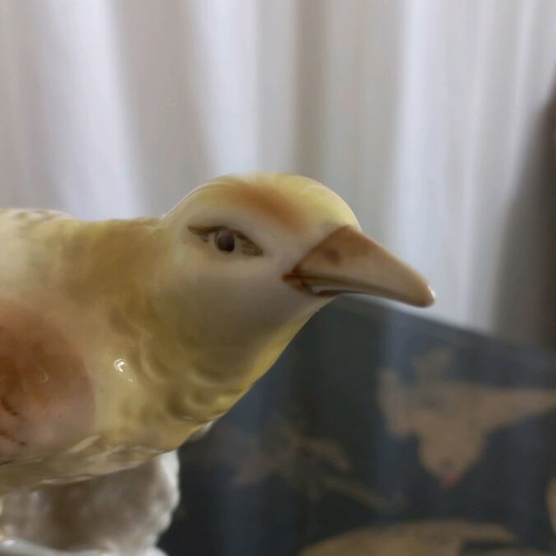 Royal Dux porcelain bird like new