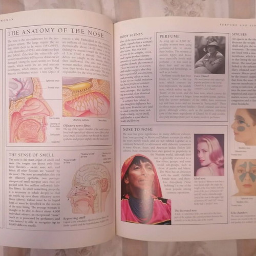 Woman's Body book in English like new