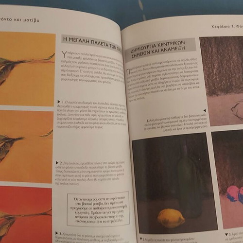 Pastel for Beginners book