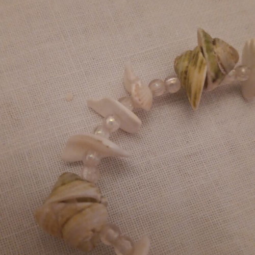Long necklace made of shells like new, beige and brown