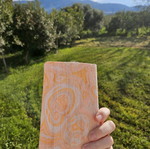 Apricot Lumière handmade notebook