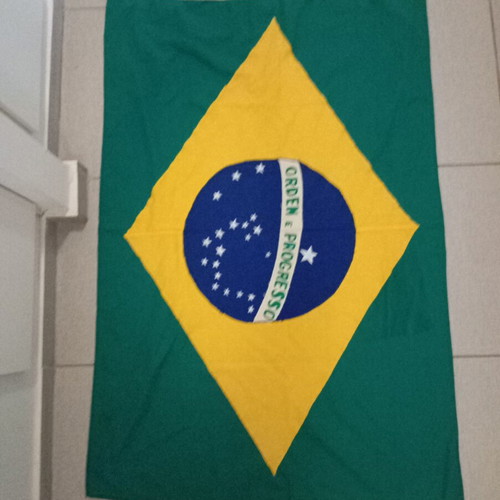 Brazilian flag new