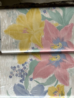 Wall border new, wide, 2 pieces 4.5 meters each