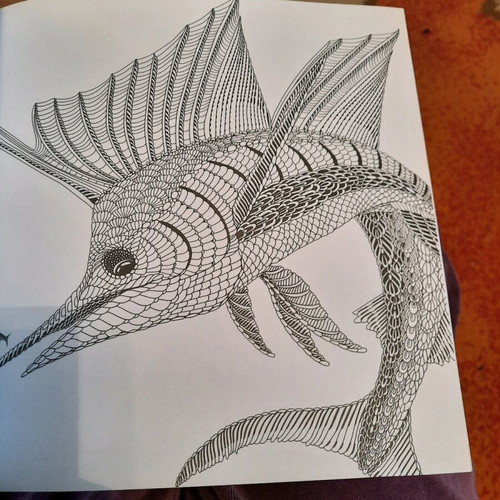 Fish coloring book used