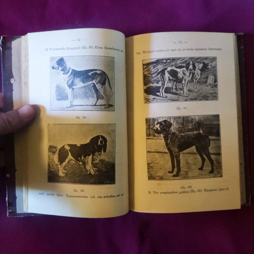 Rare book "Θηρευτική" 1927 like new, 288 pages with images